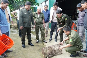 Bàn giao cá thể khỉ đực nặng 5kg cho cơ quan kiểm lâm để có giải pháp xử lý