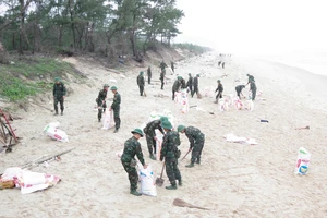 Hàng trăm cán bộ, chiến sĩ bộ đội TP Huế nỗ lực thu gom dầu thô vón cục trôi dạt vịnh Lăng Cô