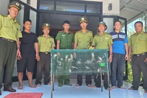 Kiểm lâm khu vực Nam Sông Hương bắt quả tang một đối tượng có hành vi quảng cáo, mua bán trái pháp phép số lượng lớn chim chào mào