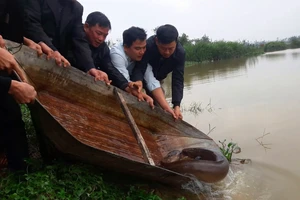 Người dân cùng thả con cá chình về lại sông