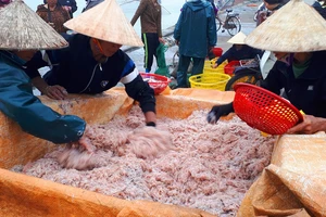 Người dân miền Trung phấn khởi được mùa cam và “lộc biển” 