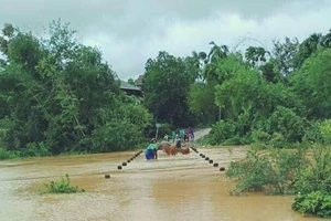 Người dân ở huyện Hương Khê, Hà Tĩnh đưa gia súc đi tránh lũ