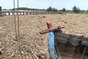 Rác "bủa vây" Cảng cá Xuân Hội 
