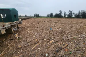 Rác dày đặc tại Cảng cá Xuân Hội