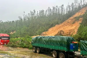 Khu vực hiện trường xảy ra sạt lở núi 