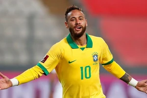 Neymar đã sẵn sàng dẫn dắt Brazil bảo vệ danh hiệu vô địch Nam Mỹ. Ảnh: Getty Images