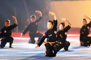 Biểu diễn võ cổ truyền tại giải giải toàn quốc