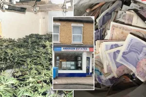 Một băng đảng chiếm giữ nhà một cầu thủ đang chơi ở Premier League và biến nó thành xưởng sản xuất cần sa.