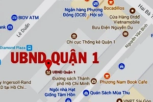 Nhiều cơ quan sự nghiệp công lập ở quận 1 cho thuê mặt bằng sai quy định, phát sinh lợi nhuận lớn