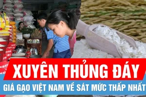  Giá gạo xuất khẩu Việt Nam thấp, giá trong nước vẫn cao