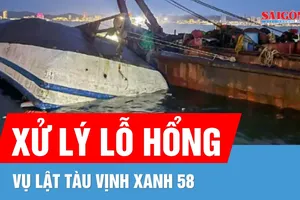 Bản tin tối 28-7: Xử lý lỗ hổng vụ lật tàu Vịnh Xanh 58; Cá voi tiếp tục săn mồi tại vịnh Nha Trang