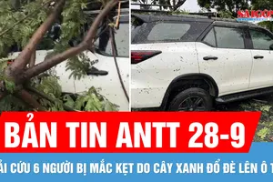 Bản tin ANTT 28-9: Giải cứu 6 người bị mắc kẹt do cây xanh đổ đè lên ô tô 7 chỗ ở Đà Nẵng