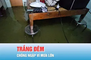 Podcast bản tin trưa 24-10: Nước dâng cao, nhiều dãy nhà ở Huế ngập trong nước