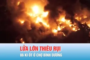 Podcast bản tin trưa 5-11: Xe container tông trực diện xe tải trên đèo Bảo Lộc; Lửa lớn thiêu rụi 86 ki ốt chợ Bình Dương