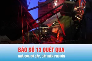 Podcast bản tin trưa 7-11: Trở về sau đêm bão, người dân bàng hoàng chứng kiến nhà cửa đổ sập, cát biển phủ kín