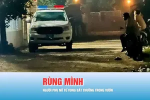 Podcast bản tin 17 giờ 15-11: Người phụ nữ tử vong bất thường trong vườn nhà; Bị lừa 1 tỷ đồng khi tham gia trò chơi có thưởng trên mạng