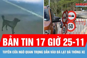 Bản tin 17 giờ ngày 25-11: Đèo Prenn đã thông xe; Ô tô 7 chỗ trộm chó trước nhà dân