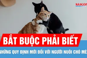 TPHCM: Chủ nuôi chó mèo bắt buộc khai báo với chính quyền 