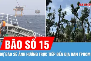 TPHCM khẩn trương triển khai các biện pháp ứng phó bão số 15