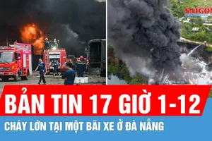 Bản tin 17 giờ 1-12: Cháy lớn tại bãi xe chở hàng ở Đà Nẵng
