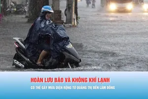 Podcast bản tin trưa 1-12: Phía Bắc dự báo có băng giá, sương mù, bụi mịn do không khí lạnh