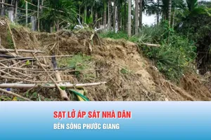 Podcast bản tin 17 giờ 3-12: Sạt lở áp sát nhà dân bên sông Phước Giang