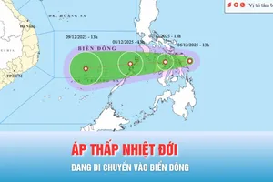 Podcast bản tin tối 6-12: Áp thấp nhiệt đới đang vào Biển Đông