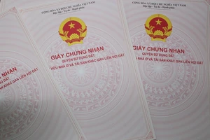 Dân mỏi mòn chờ cấp giấy sử dụng đất ở Long An: Huyện biết sai nhưng vẫn làm