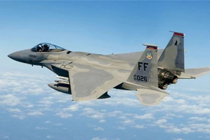 Máy bay chiến đấu F-15. Ảnh: Wikipedia