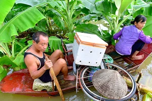 Người dân sống ở bãi giữa sông Hồng (Hà Nội) chạy lũ Ảnh: LÃ ANH