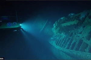 Xác tàu ngầm U-576 của phát xít Đức dưới đáy biển North Carolina. Ảnh: NOAA