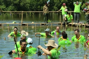 Các đại biểu tham gia trồng cây tại rừng ngập mặn Nam Jakarta, Indonesia. (Ảnh: VIETNAM+)