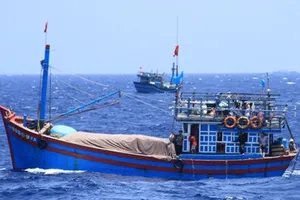 Đến năm 2020, chấm dứt tình trạng  tàu cá xâm phạm vùng biển nước ngoài