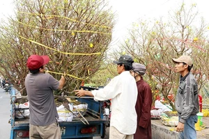 Sẽ có nhiều chợ hoa trong dịp Tết Nguyên đán 2018 