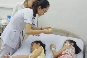 Trước đó, một số học sinh ở Hà Tĩnh cũng bị ngộ độc do ăn phải hạt quả ngô đồng