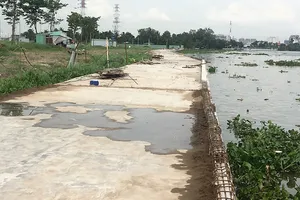 Bờ kè kiên cố do Công ty Đại Phúc xây dựng theo hình thức xã hội hóa