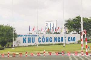 Nắm bắt cơ hội