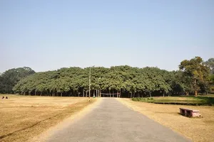 Cây đa cổ thụ khổng lồ ở Ấn Độ
