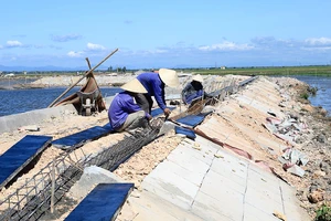 Các đơn vị đẩy mạnh thi công, sửa chữa, nâng cấp tuyến đê bao phía Đông phá Tam Giang (Thừa Thiên - Huế)