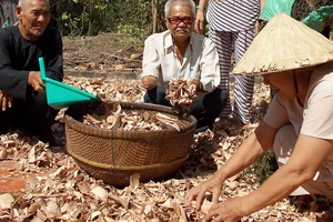 Ông Ba E (bìa trái) cùng cô bác thiện nguyện ở cơ sở thuốc nam Phước Bửu tự