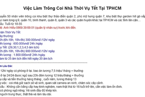 “Nóng” với hàng loạt dịch vụ cận Tết Kỷ Hợi