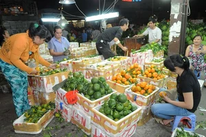 Trái cây trong nước bán tại chợ . Ảnh: THÀNH TRÍ