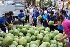 Xắn tay giúp nông dân vượt khó