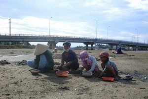 Đào phễnh góp phần cải thiện cuộc sống cho những người lao động nghèo. Ảnh: BAOBINHDINH. VN