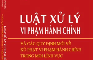 “Dìm hàng” doanh nghiệp khác, bị phạt đến 600 triệu đồng