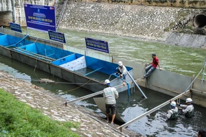 Tháo dỡ hệ thống làm sạch của Nhật Bản trên sông Tô Lịch