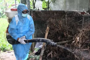Hiện nay việc phòng chống dịch SXH chủ yếu vẫn là diệt lăng quăng và phun hóa chất diệt muỗi