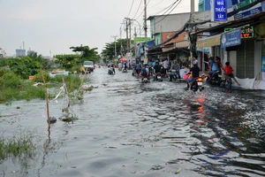 Triều cường và không khí lạnh