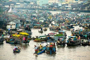 Hạt bụi nghiêng mình