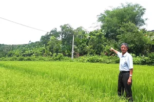 Ông Nguyễn Ngọc Liệu chỉ khu đất vườn rừng của gia đình mà ông đã hiến cho xã làm công trình phúc lợi